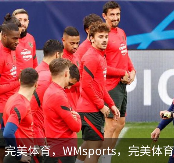 完美体育，WMsports，完美体育官方，完美体育平台，完美体育下载概况